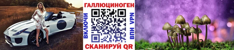 blacksprut как войти  Кунгур  Псилоцибиновые грибы Psilocybine cubensis 